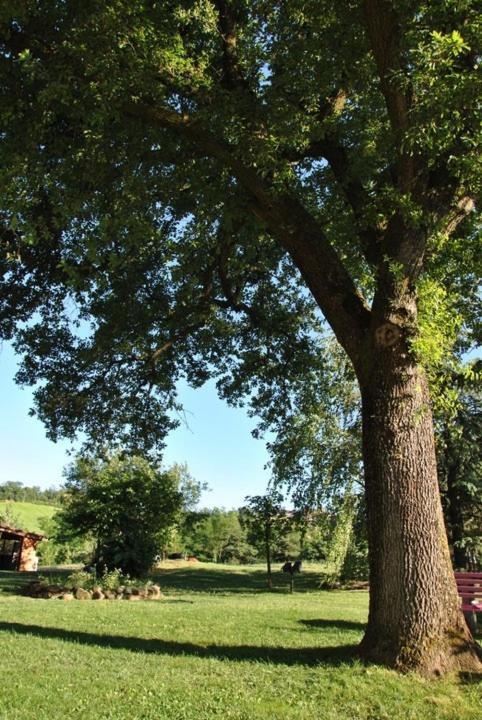 B&B La Vecchia Quercia Home Restaurant ฟอร์โนโว ดิ ตาโร ภายนอก รูปภาพ